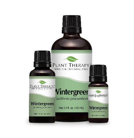 Plant Therapy Wintergreen, Organic Wintergreen, Muscle Aid Synergy Blend, Tingly Mint Synergy Blend, and Vein Aid Synergy Blend Oils